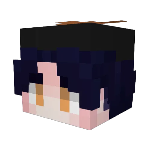 zy8153 Minecraft avatar head, 3D render
