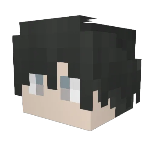zy_fly Minecraft avatar head, 3D render