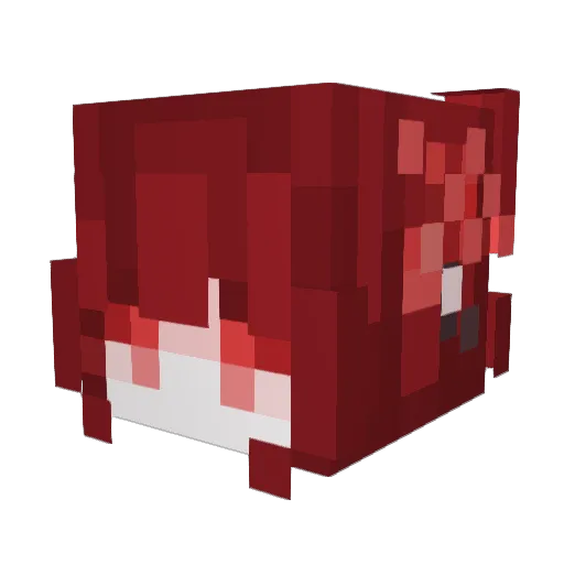zyf114514 Minecraft avatar head, 3D render