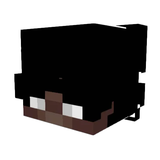 zyhzak Minecraft avatar head, 3D render