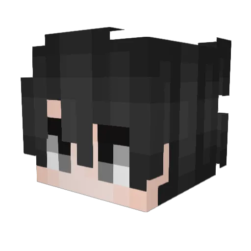 zyj2333 Minecraft avatar head, 3D render