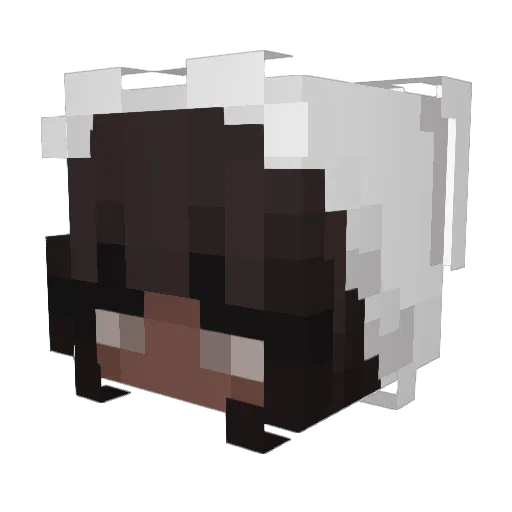 zylyn Minecraft avatar head, 3D render