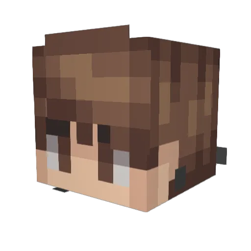 zyn13 Minecraft avatar head, 3D render
