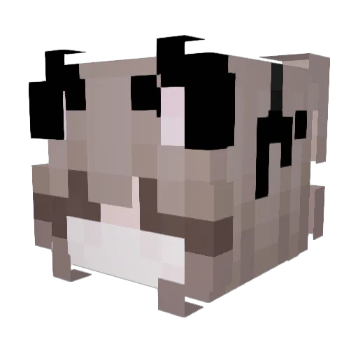 zynthia_ Minecraft avatar head, 3D render
