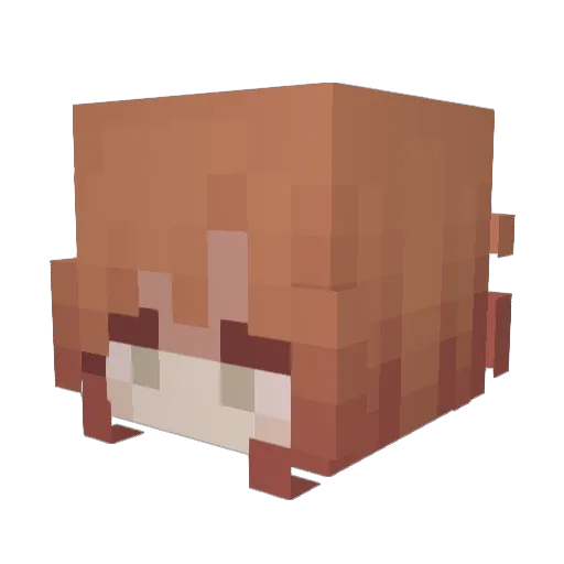 zyqena Minecraft avatar head, 3D render