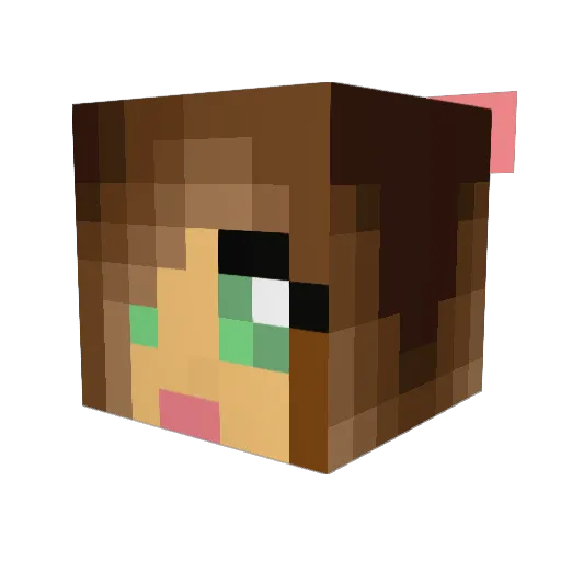 zyxpanda Minecraft avatar head, 3D render