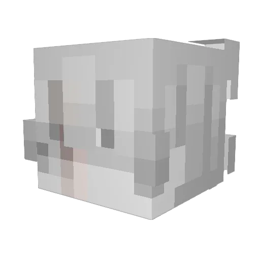 zyxss Minecraft avatar head, 3D render