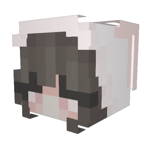 zyz_0303 Minecraft avatar head, 3D render