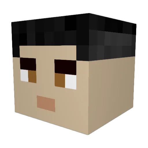 zyzz729 Minecraft avatar head, 3D render