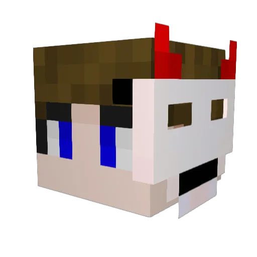 zz9263 Minecraft avatar head, 3D render