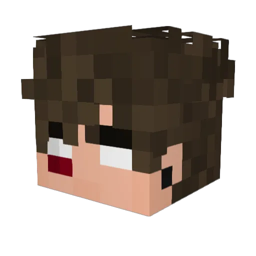 zzIsmail Minecraft avatar head, 3D render