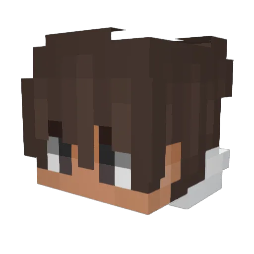 zz_ryxn Minecraft avatar head, 3D render