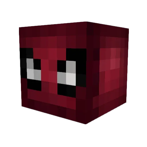 zzangii07 Minecraft avatar head, 3D render