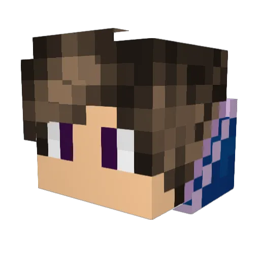 zzanixx Minecraft avatar head, 3D render