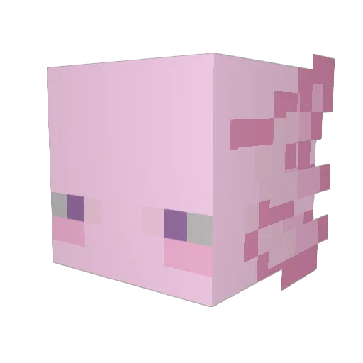 zzfsshi Minecraft avatar head, 3D render