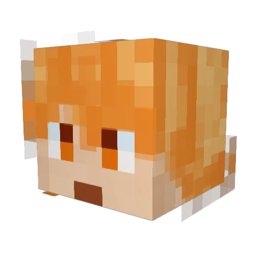zzg007 Minecraft avatar head, 3D render