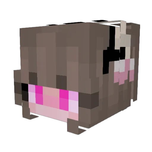 zzmO_o Minecraft avatar head, 3D render