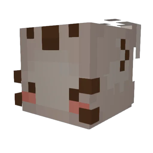 zzpanther Minecraft avatar head, 3D render