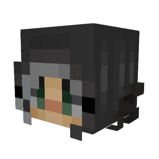 zzs19984 Minecraft avatar head, 3D render