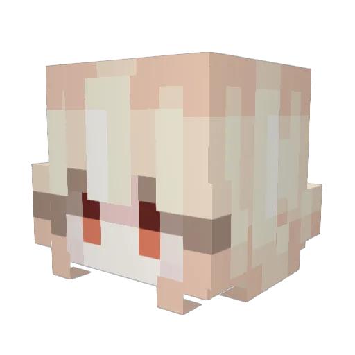 zzuni_98 Minecraft avatar head, 3D render