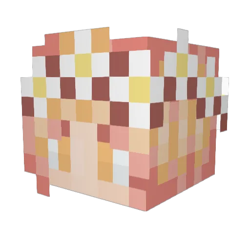 zzuuzuu Minecraft avatar head, 3D render