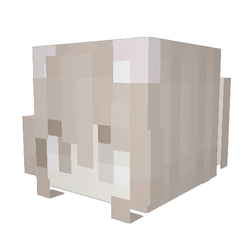 zzz_zar Minecraft avatar head, 3D render