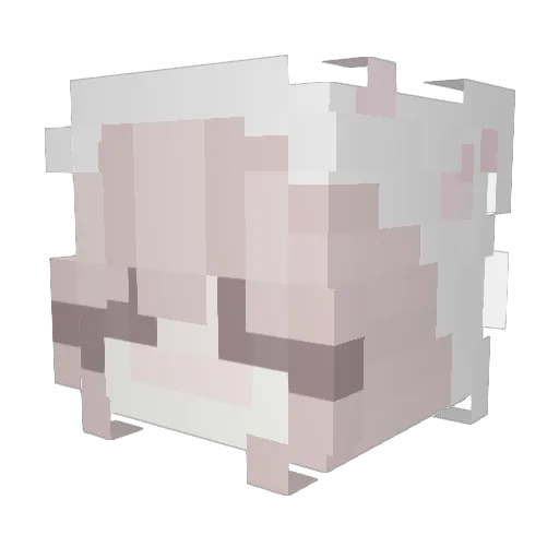 zzzer0x Minecraft avatar head, 3D render