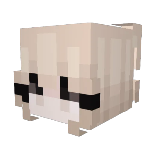 zzzmeow Minecraft avatar head, 3D render