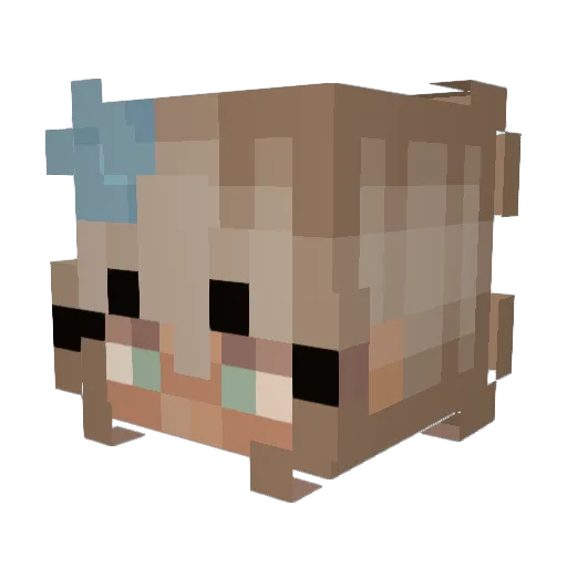 zzzoooyyy Minecraft avatar head, 3D render