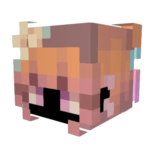 zzzxd0011 Minecraft avatar head, 3D render