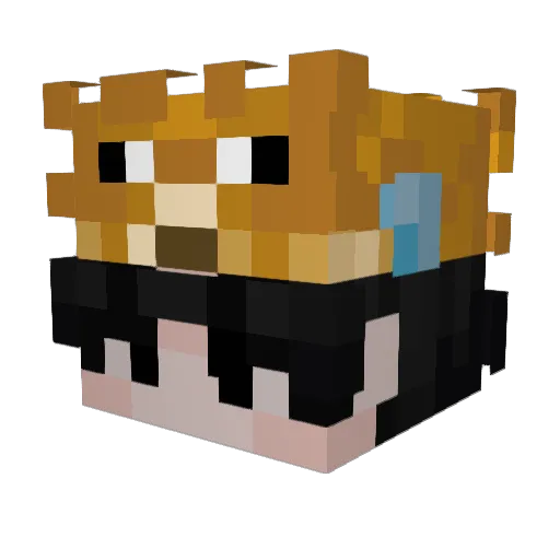 zzzxjnb Minecraft avatar head, 3D render