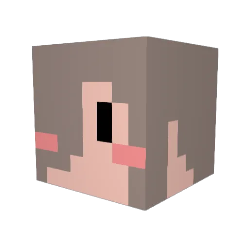 zzzz014 Minecraft avatar head, 3D render
