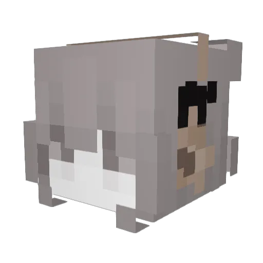 zzzzz8 Minecraft avatar head, 3D render